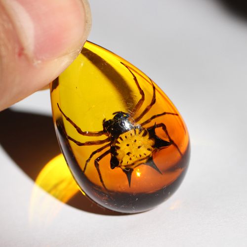 新款天然蝎子人工琥珀项链昆虫标本吊坠创意项坠