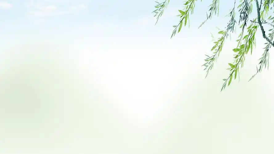 春绿唯美小清新中国风清明节ppt图片,ppt图片 - 51ppt模板网