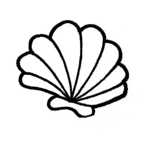 大全图片大全(贝壳怎么画简单又好看卡通)幼儿画贝壳简笔画各式各样