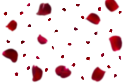 >网页素材>js代码>广告平面>免抠元素>设计模板> 更多同类素材: 花瓣