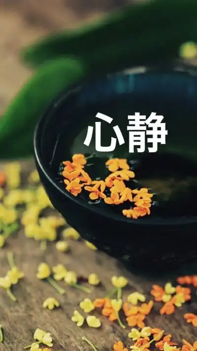 心静