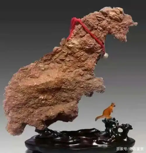 奇石鉴赏 ▏石友藏石精选