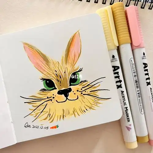 丙烯马克笔手绘插画可爱兔兔