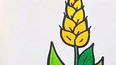 多多学画画 第175集 儿童简笔画 小麦 用蜡笔一起画田野里的小麦