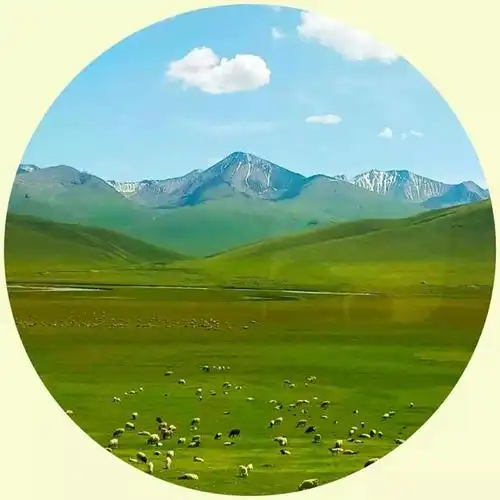 微信头像:花草树木,山川河流,美丽的大自然,养眼的风景