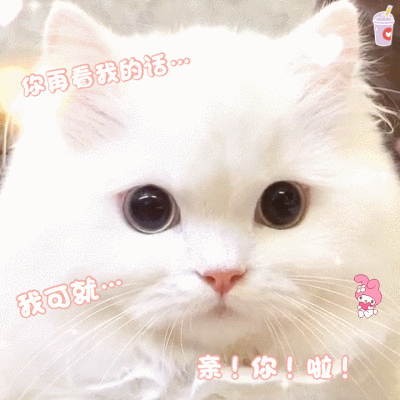 0条  收集   点赞  评论  艾斯比表情包 0 3 满眼小鱼  发布到  gif