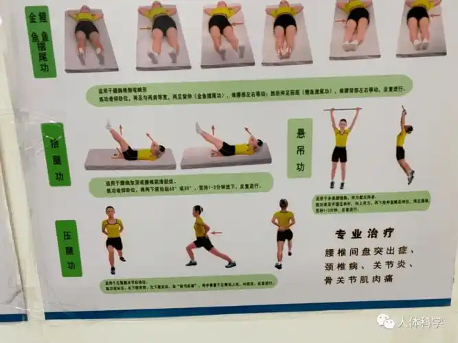 【体态管理】腰椎康复锻炼示范动作.