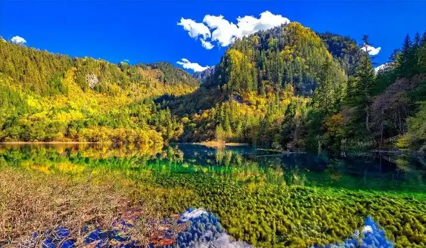 中国受欢迎的十大旅游景点你去过几个