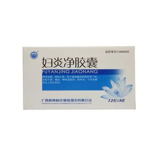 妇炎净胶囊 36s
