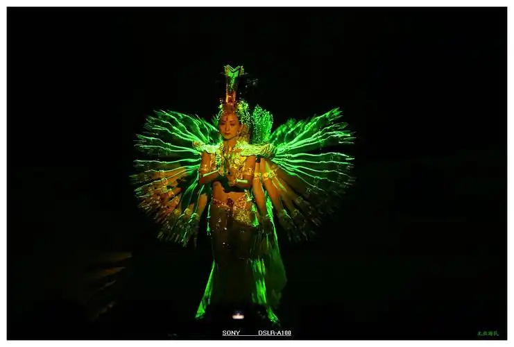 标题:舞台摄影------千手观音