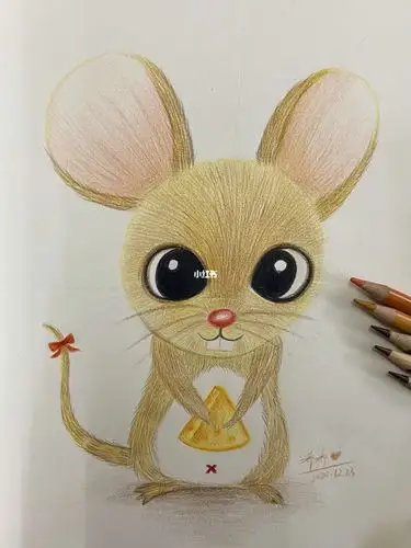 彩铅小老鼠教程苹果原相机拍摄