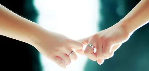 乐维斯 一生一世不离不弃的真爱文化