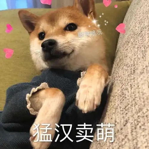 眼神暗示猛汉卖荫狗子卖荫猛汉狗子眼神暗示表情