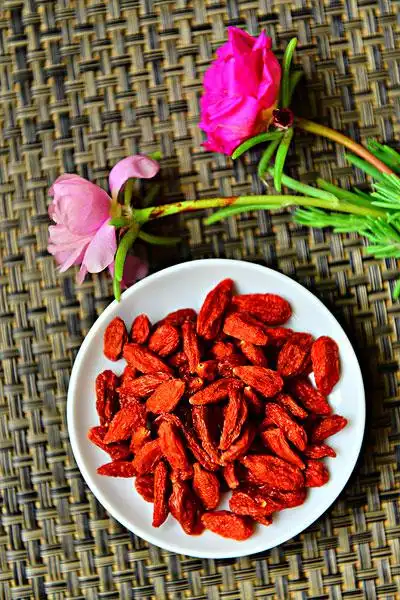 枸杞子图片_图片大全