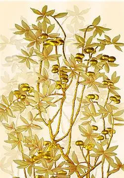 玻璃果实玄关图