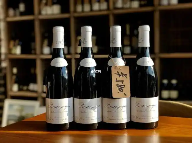 我非常喜欢的酒庄勃艮第勒桦leroy酒庄可以说是大区级做得最好的一个