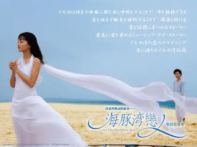 海豚湾恋人资料页_娱乐资料库_新浪娱乐_新浪网