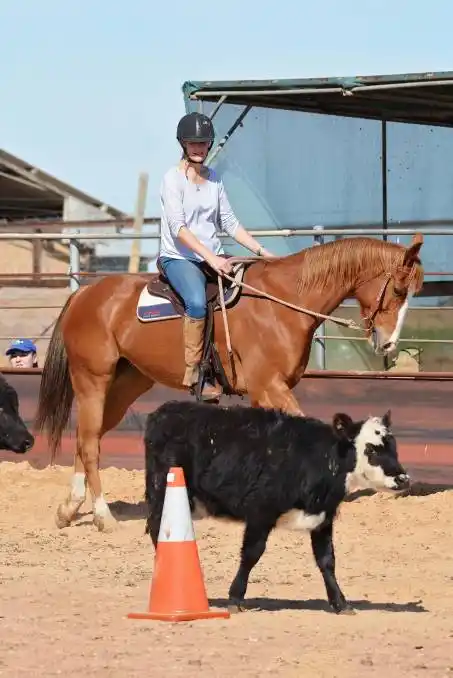 clinic: lisa wiseman and oakey weave their calf through the