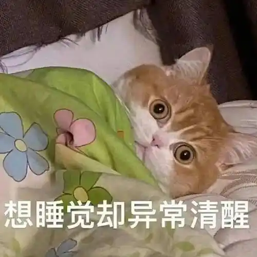 在忙表情包 超实用的表情包_公众_il_熊猫头
