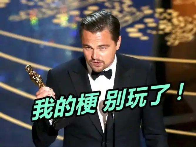 小李子20多年的梗已经有人给它立碑了!