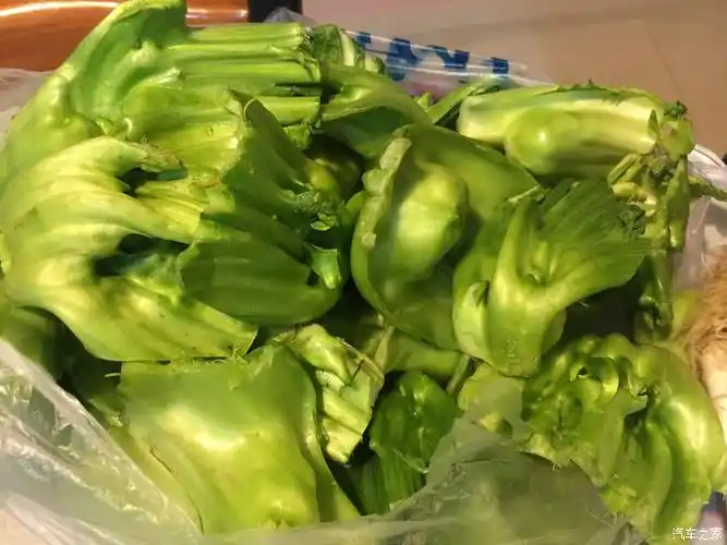 小老头家常菜2月