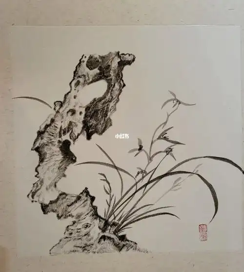 第一次画太湖石