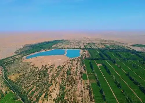 2019年8月5日,航拍镜头下的敦煌阳关林场.敦煌自然资源局供图.