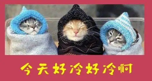 2018年12月08日星期六(今天好冷好冷啊)