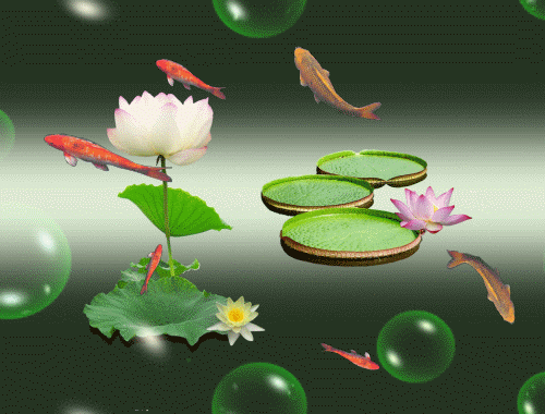 我也如小鱼快乐漂亮,吟诗芬芳.蜻蜓飞来,掠过你的肩膀,池塘浪漫