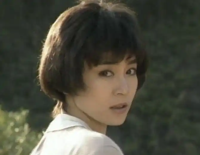 海鸥飞处彩云飞