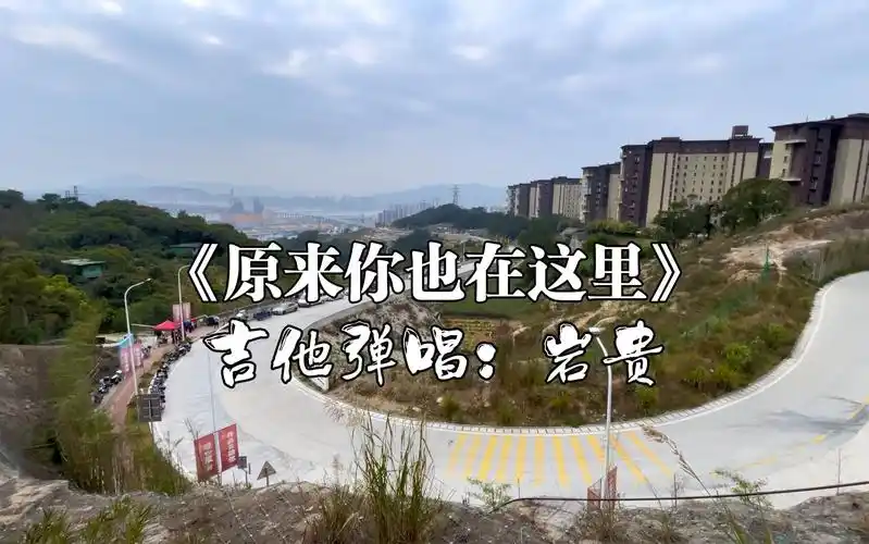 分享岩贵烟嗓翻唱《原来你也在这里》音调沉稳,句句入心有味道