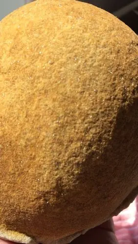 请专家们帮忙看看!