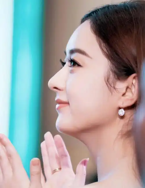 娱乐圈好看的鼻子赵丽颖宋祖儿精致刘亦菲因为这一点被赞最美