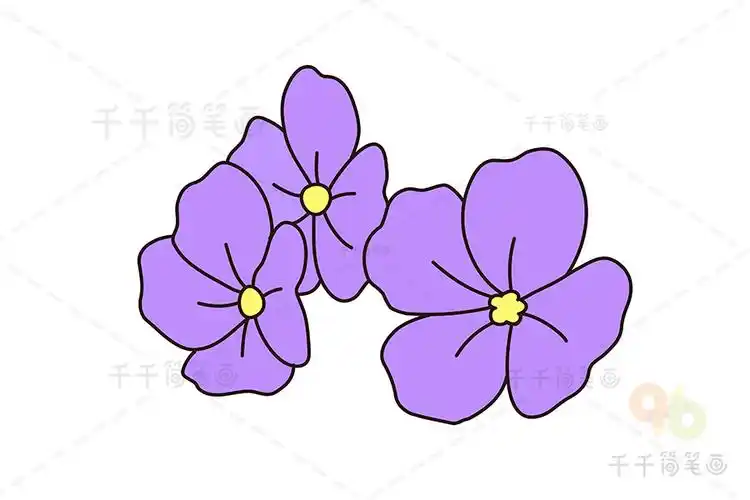 紫罗兰简笔画步骤图