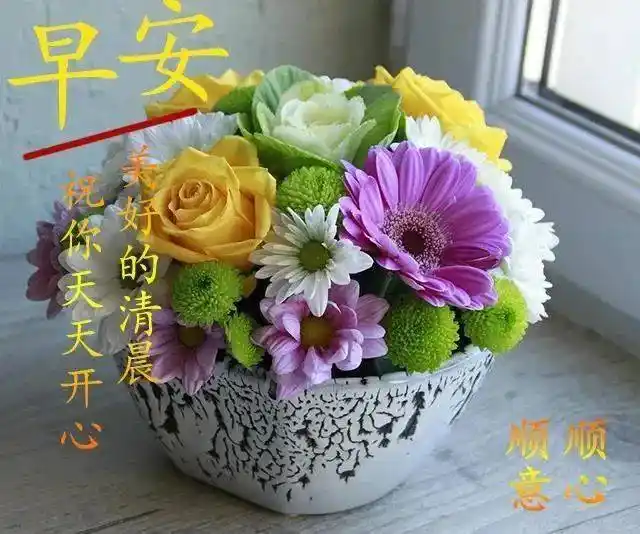 微信群发早安问候祝福语录录大全周一早上好祝福图片带字表情动态
