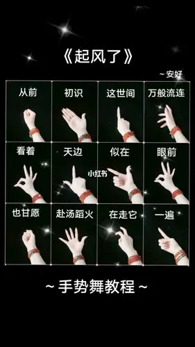 起风了手势舞教程