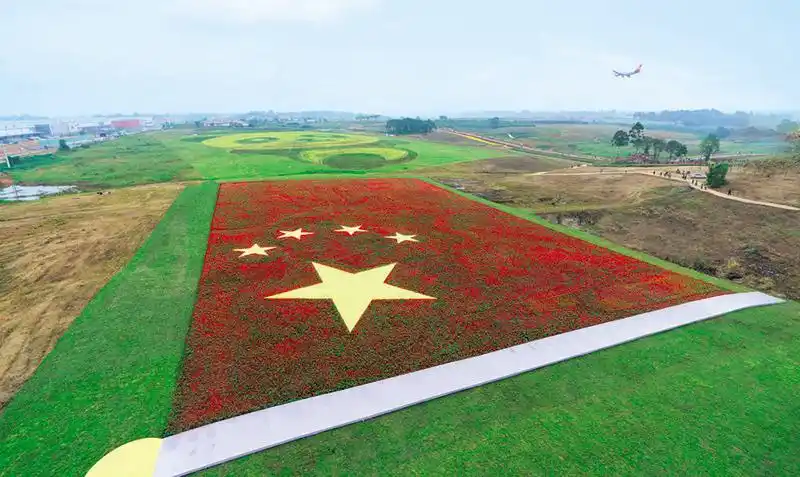 双流空港花田,由50万株鲜花拼装成的巨幅国旗艺术景观惊艳亮相