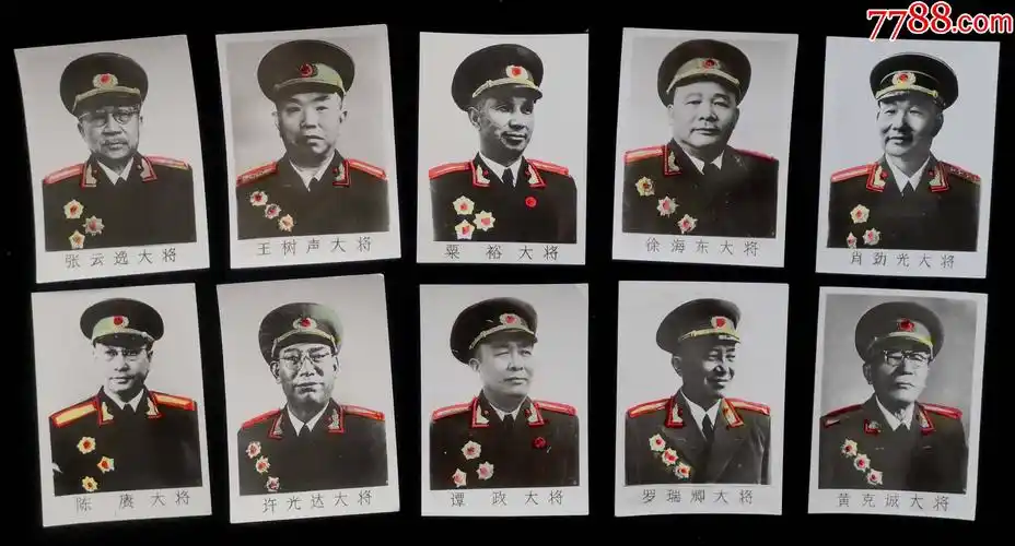 共和国十大将戎装像