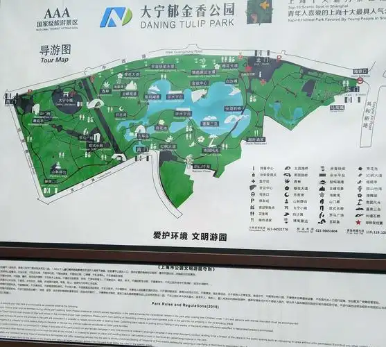 春日散步――大宁郁金香公园