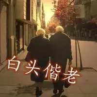 白头偕老文字头像 和你一起白头偕老的头像_微信头像图片大全