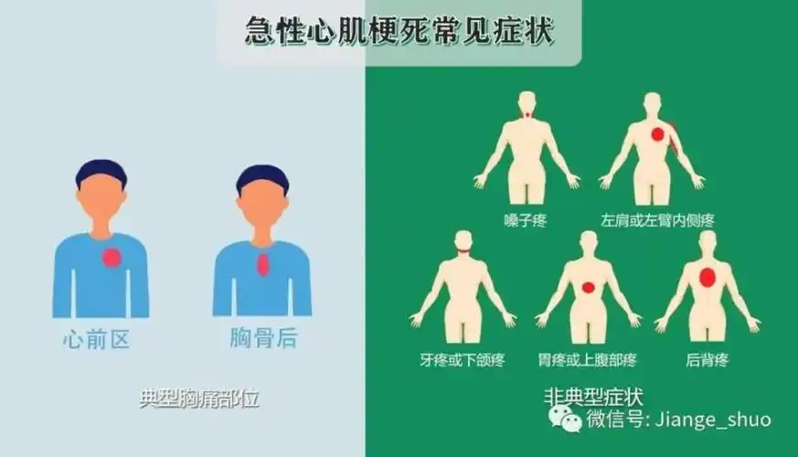 可能会出现自下颌往下,到腹部往上,这个范围内某些部位的疼痛或者不适