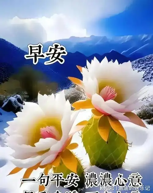 20240131早上好创意早晨祝福问候语早安图片