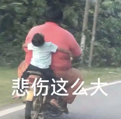 悲伤这么大这么悲伤表情