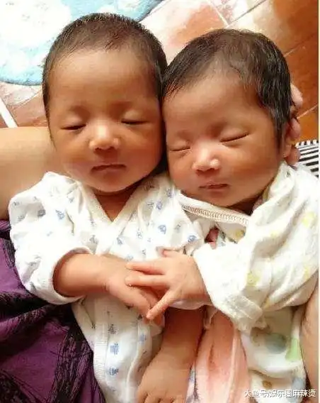 张杰谢娜双胞胎女儿,跳跳悄悄名字来历曝光,竟然跟照b超有关