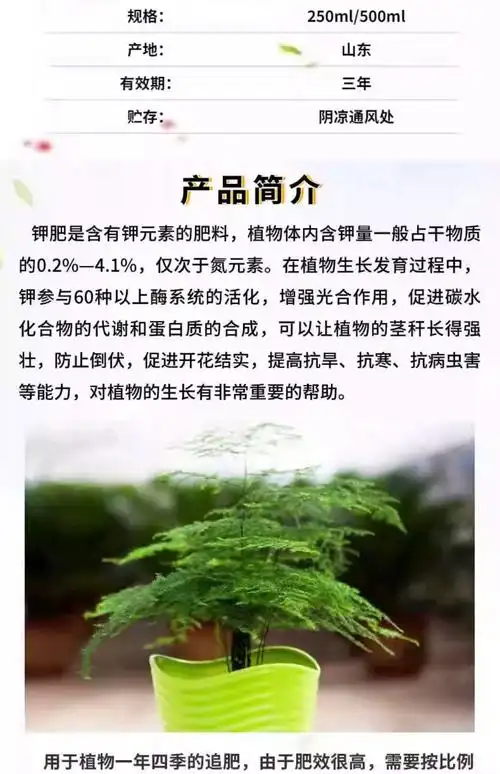 文竹云竹专用钾肥营养液办公室内家盆景栽绿植物浓缩水溶花卉肥料