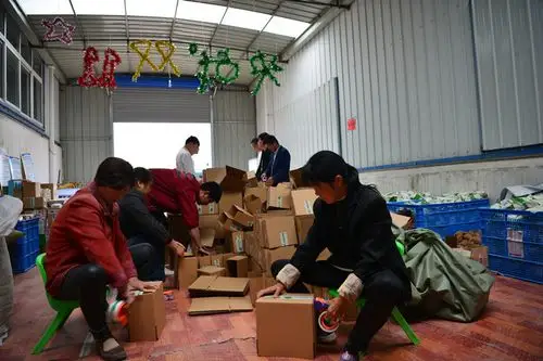 公司聘用的附近农村贫困户大妈正在仓库打包