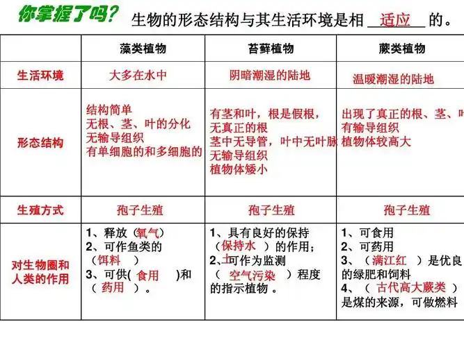 藻类苔藓蕨类植物复习