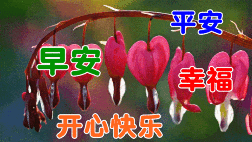 10月15日最漂亮早上好动态表情图片大全,早晨好动图美图大全