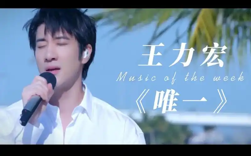 王力宏海边弱混版唯一