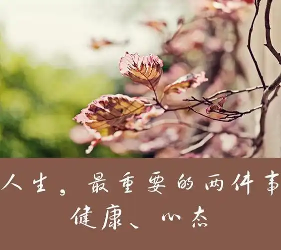 健康和心态是人生中最重要的两件事情